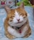 88950_name