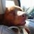 8095_name