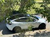 Tesla Model Y Long Range AWD (2023)