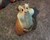 364958_name