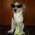 4284_name