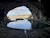 381890_name