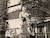 28531_name
