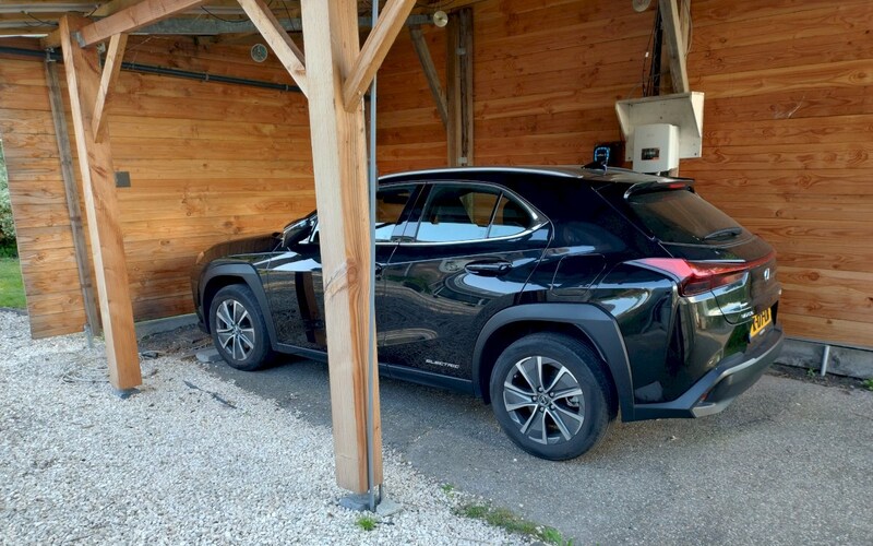 Lexus UX 300e Electric Business (2020)