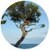 113297_name