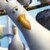 3925_name