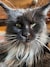 301102_name