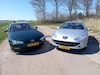 Peugeot 406 (2002)