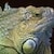 5305_name