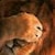 6380_name