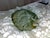 390280_name