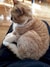 63985_name