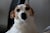 70976_name