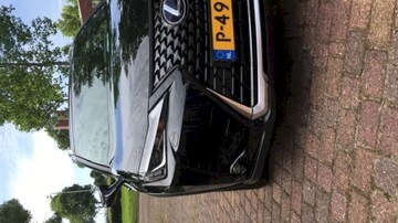Lexus UX 250h Preference Line (2022)