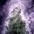 19692_name