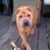 17778_name